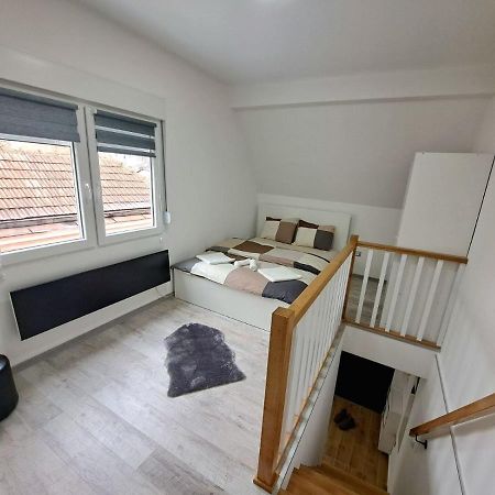 Mini Duplex Apartman Dusanovac エクステリア 写真